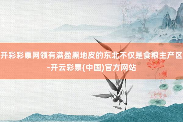 开彩彩票网领有满盈黑地皮的东北不仅是食粮主产区-开云彩票(中国)官方网站