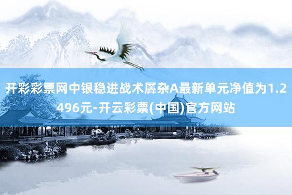 开彩彩票网中银稳进战术羼杂A最新单元净值为1.2496元-开云彩票(中国)官方网站