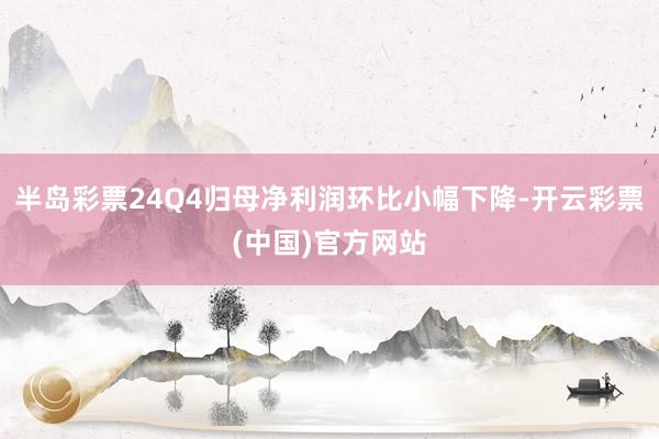 半岛彩票24Q4归母净利润环比小幅下降-开云彩票(中国)官方网站